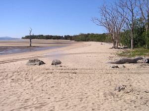 Pointglen Developments Pic 2 - Shoal Point Beach