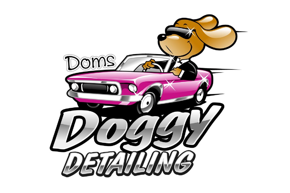 Doms Doggy Detailing Pic 1