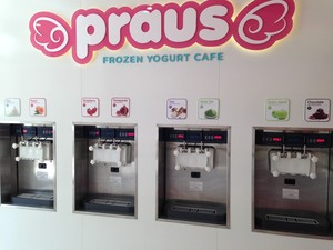 Praus Frozen Yogurt Cafe Pic 4