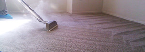 Mark's Carpet Cleaning Pic 4