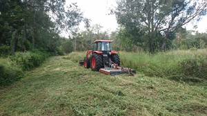 Scrub Tamers Pic 2 - Tractor 4WD cutting extremely long grass