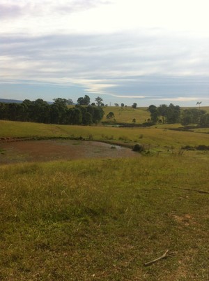 Mulgoa School of Equitation Pic 2 - The view of one of our beautiful paddocks