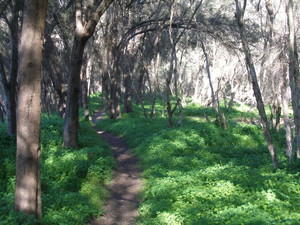 Toodyay Caravan Park Pic 2