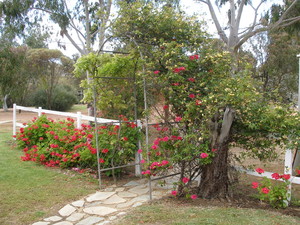 Toodyay Caravan Park Pic 3