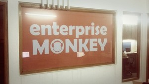 Enterprise Monkey Pic 2