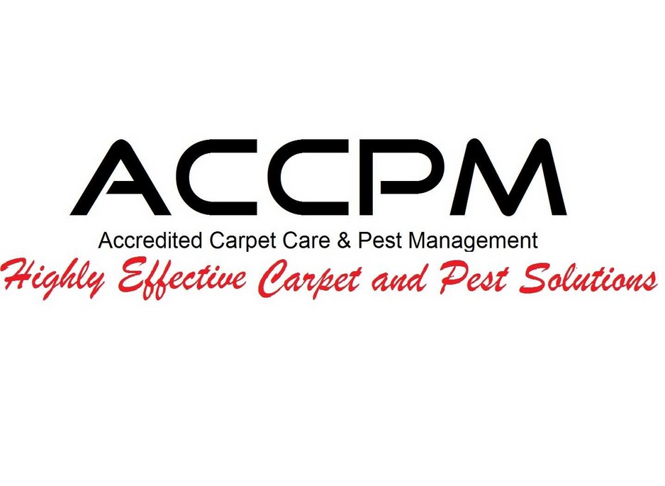 Carpet Cleaning Brisbane - ACCPM Pic 1 - carpet cleaning brisbane