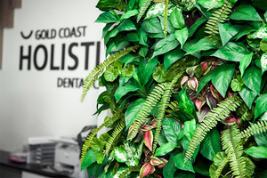 Gold Coast Holistic Dental Care Pic 3