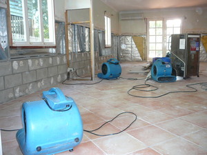 Moisture Control Services Pic 4