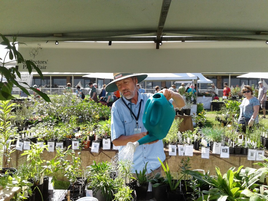 Mountain Herbs Pic 1 - At the collectors plant fair in Richmond