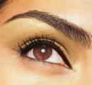 The EyeBrow Queen Pic 1