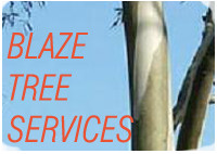 Blaze Tree Lopping Service Pic 1 - logo