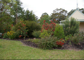 Stringybark Cottages Pic 1 - gardens