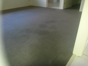 HYCLEAN Pic 2 - Carpet clean Oxenford 11th March 2014 Not sure what this stain was but ii did get it out