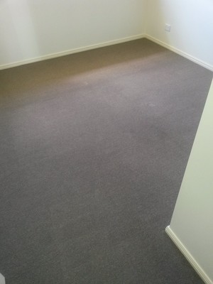 HYCLEAN Pic 3 - Carpet clean Oxenford 11th March 2014 Sorry the colour in the photos are different as the light had changed