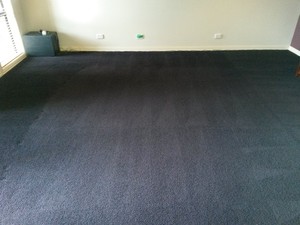 HYCLEAN Pic 4 - Helensvale Carpet Clean 26th Feb 2014 After shot