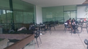 Courtyard Cafe Pic 3 - Outdoor Area