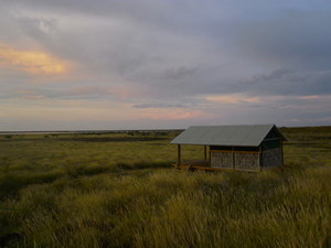 Wilderness Island Safari Holiday Pic 2