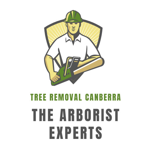 Tree Removal Canberra Pic 1