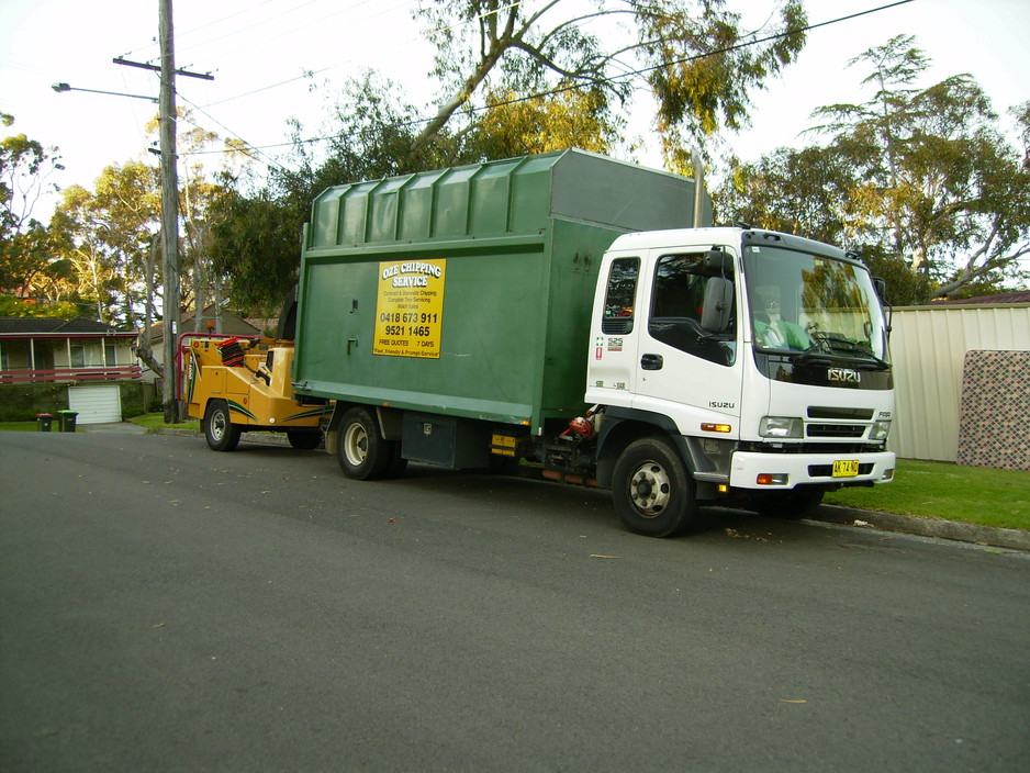 OZE CHIPPING SERVICE Pic 1 - Oze Chipping Service ready for all tree work