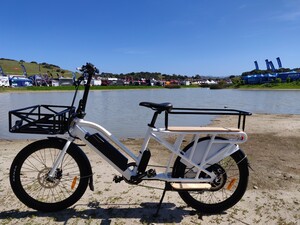 Next Gen e-Rides Pic 5 - CARGO PLUS ELECTRIC BIKE