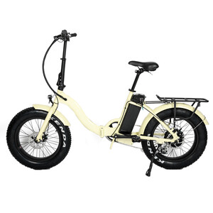 Next Gen e-Rides Pic 2 - STREET CHIC ELECTRIC BIKE