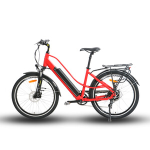 Next Gen e-Rides Pic 4 - URBAN EDGE ELECTRIC BIKE