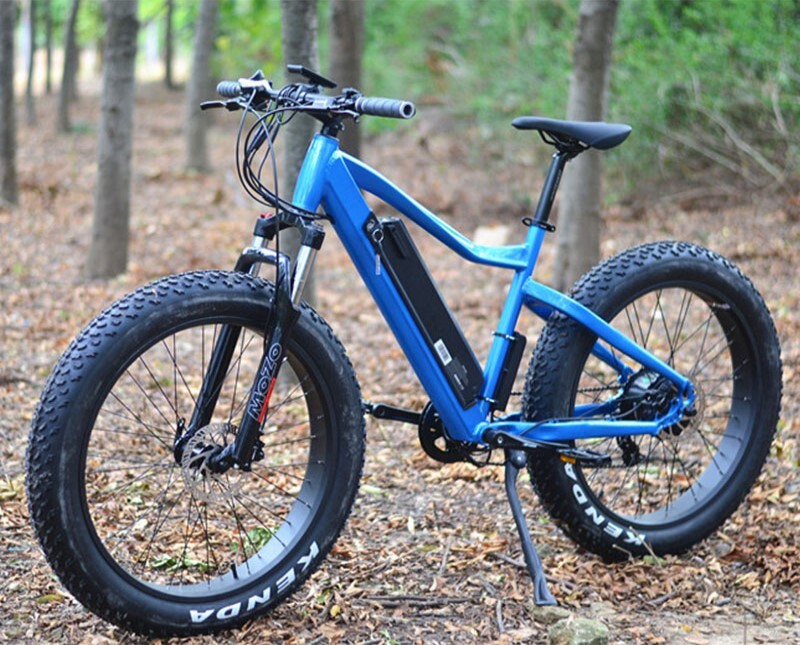 Next Gen e-Rides Pic 1 - ALL TERRAIN ELECTRIC MTB