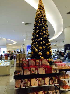 David Jones Pic 2 - Xmas displays