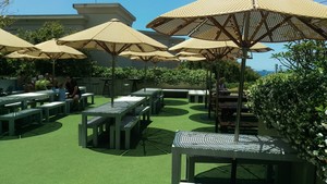 Clovelly Hotel Pic 3 - Beer Garden