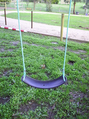 AUSSIE SWINGS Pic 2 - Tyre strap swing