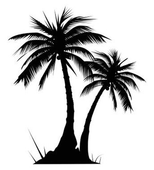 Affordable Palm & Tree Maintenance Pic 2 - Affordable Palm Tree Maintenance