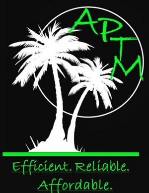 Affordable Palm & Tree Maintenance Pic 3 - Affordable Palm Tree Maintenance