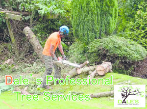 Dale's Professional Tree Services Pic 2 - Affordable Tree Removal Chainsaw