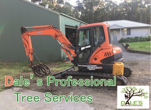 Dale's Professional Tree Services Pic 3 - Affordable Tree Removal Excavation