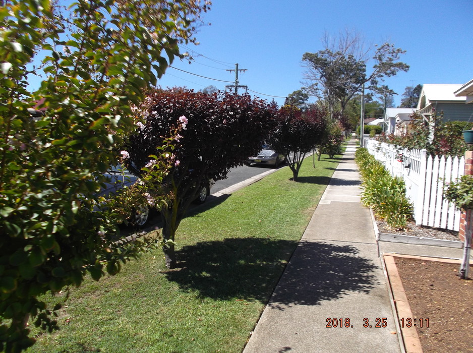 Camden Mowing Pic 1