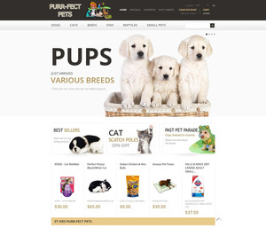 Webbit Designs Pic 5 - Clients site St Ives Purrfect Pets