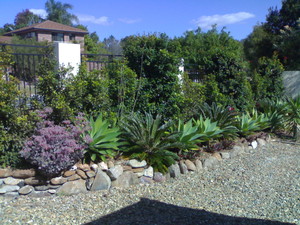 Affordable Garden Care Pic 2