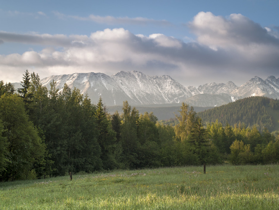 Gourmand Guide Pic 1 - Tatra Mountains