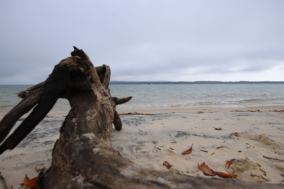 All Fraser Island Tours Pic 1 - Fraser island