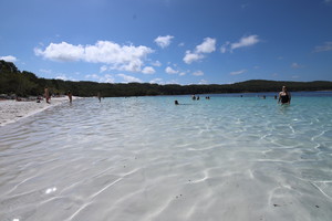 All Fraser Island Tours Pic 5