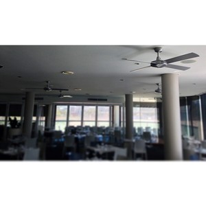 Jimelectric Pic 3 - Gold Coast Electrician Fan Installations