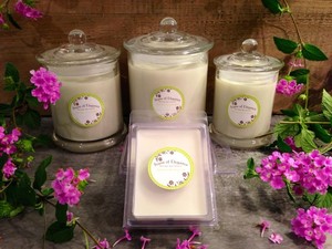 Scent Of Elegance Pic 3 - Bamboo and verbena range