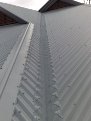 Guaranteed Gutter Protection Pic 3 - Corro Valley application