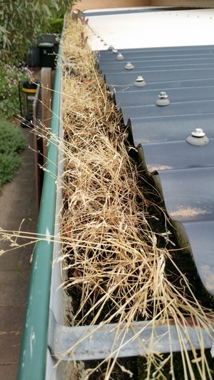 The Fixician Handyman Service Pic 4 - Gutter clean before