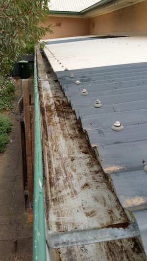 The Fixician Handyman Service Pic 5 - Gutter clean after