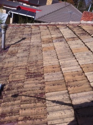 cr seal a roof roofing & guttering Pic 2 - tiles pressure cleaned