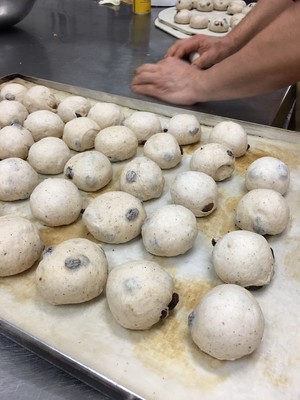 Molly Denes Bakehouse Pic 4 - Prepping hot cross bun for another busy day