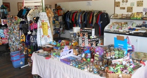 HUON Valley Apple & Heritage Museum Pic 2 - Get all of your gift and souvenir shopping done in just one stop