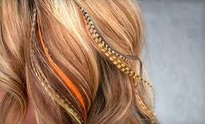 Style You Hair Culture Pic 2 - Feather hair extensions available