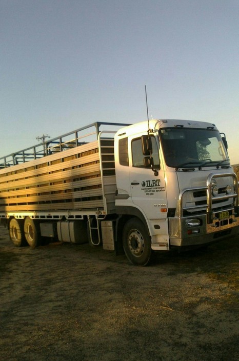 Inverell Livestock and Rural Transport Pic 1